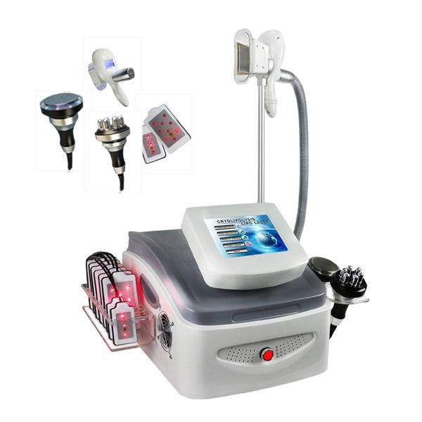 en weight loss vacuum lipolaser cavitation ultrasonic lipolaser slimming fat burning&skin tightening rf effect machine
en weight loss vacuum lipolaser cavitation ultrasonic lipolaser slimming fat burning&skin tightening rf effect machine