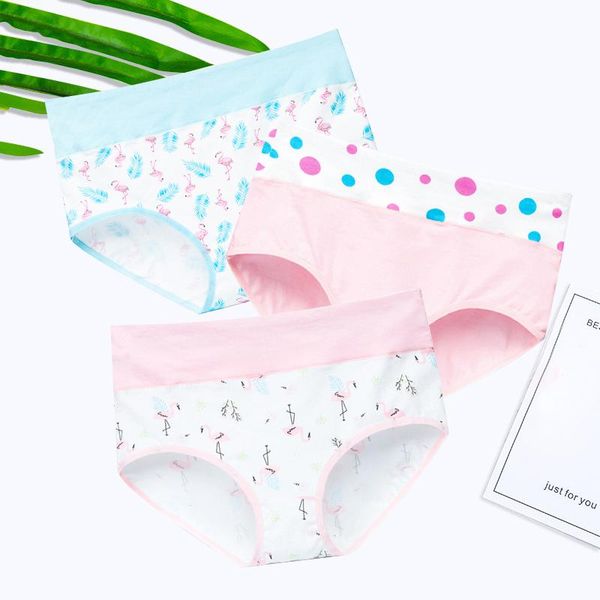 women seamless panties briefs health cotton underwear set high waist pants underpants xxl 2pcs/lot cute thong #f, Black;pink
women seamless panties briefs health cotton underwear set high waist pants underpants xxl 2pcs/lot cute thong #f, Black;pink