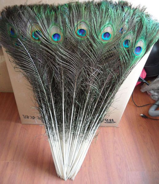feather 25 -30cm elegant genuine natural diy peacock originality home furnishing accessories multiple 100pcs f
feather 25 -30cm elegant genuine natural diy peacock originality home furnishing accessories multiple 100pcs f