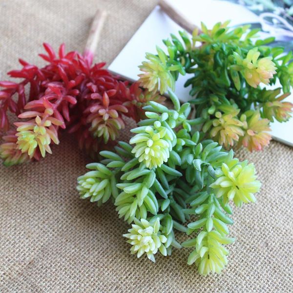 decorative flowers & wreaths real touch artificial plants plante artificielle plastic succulents for home office table decoration fake
decorative flowers & wreaths real touch artificial plants plante artificielle plastic succulents for home office table decoration fake
