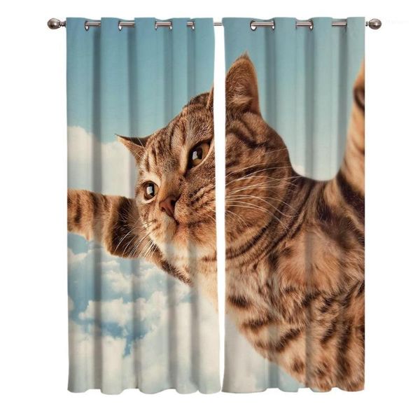 flying cats in the sky window living room kitchen outdoor indoor1 
flying cats in the sky window living room kitchen outdoor indoor1