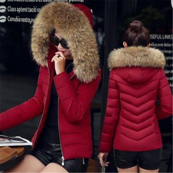 2020 winter new women's cotton coat women's short section slim cotton down jacket jacket female tide, Black;brown
2020 winter new women's cotton coat women's short section slim cotton down jacket jacket female tide, Black;brown