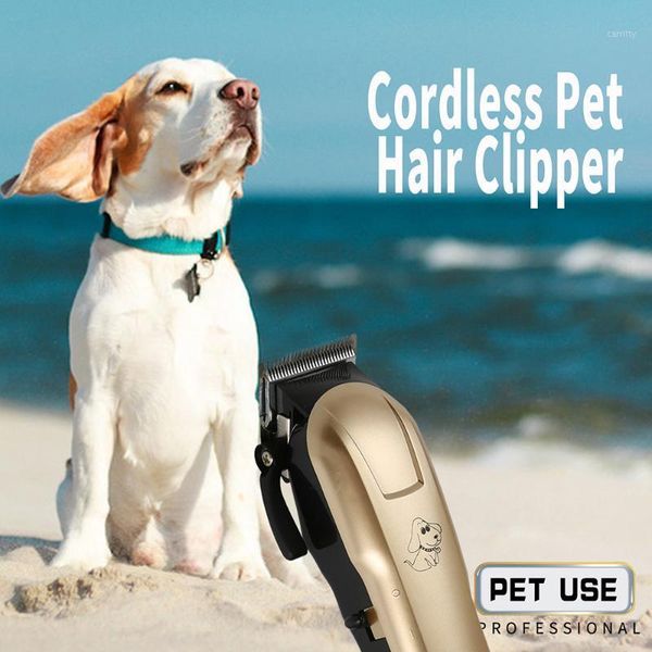 professional pet dog hair trimmer animal grooming clippers cat cutter machine shaver electric scissor clipper usb1
professional pet dog hair trimmer animal grooming clippers cat cutter machine shaver electric scissor clipper usb1