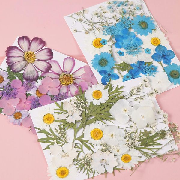 1 пакет высушенных цветов уф смола декоративные натуральные цветочные наклейки 3d сухой красота наклейка эпоксидная плесень diy заполнение ю, Black
1 пакет высушенных цветов уф смола декоративные натуральные цветочные наклейки 3d сухой красота наклейка эпоксидная плесень diy заполнение ю, Black