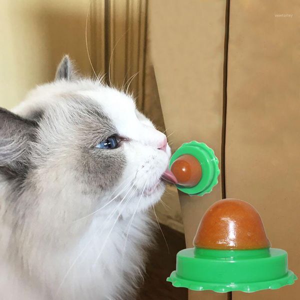 cat toys solid organic natural pure bee-wax wood wax polisher waterproof furniture care maintenance beeswax for household home cleaning1
cat toys solid organic natural pure bee-wax wood wax polisher waterproof furniture care maintenance beeswax for household home cleaning1