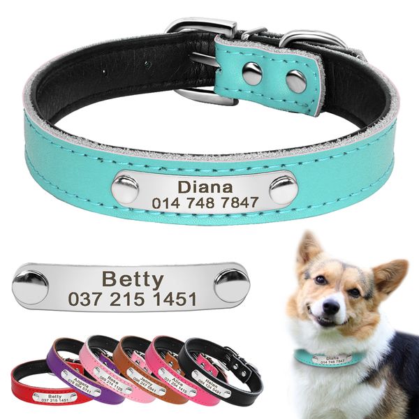 custom leather collar, dog and cat name plate, 7 colors, adjustable, pet name, phone identification, carving, xs s m
custom leather collar, dog and cat name plate, 7 colors, adjustable, pet name, phone identification, carving, xs s m