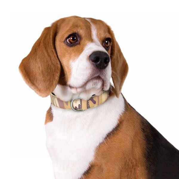 adjustable dog leather collar for small medium large dogs pet camouflage collar s m l xl pet wmtdya
adjustable dog leather collar for small medium large dogs pet camouflage collar s m l xl pet wmtdya