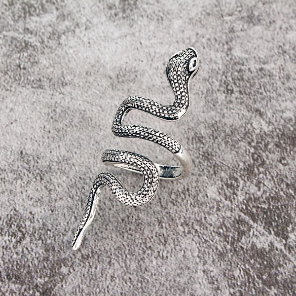 european gothic minimalist retro novelty serpentine long ring trendy snake punk alloy ring men jewelry gifts, Silver
european gothic minimalist retro novelty serpentine long ring trendy snake punk alloy ring men jewelry gifts, Silver