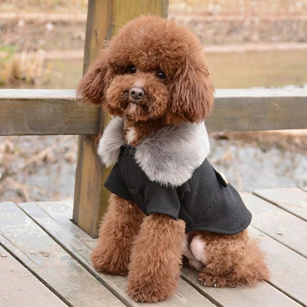 dog clothing for small medium dogs pet pug chihuahua clothes winter roupas pet puppy yorkie dog coat jacket with f bbyodw
dog clothing for small medium dogs pet pug chihuahua clothes winter roupas pet puppy yorkie dog coat jacket with f bbyodw