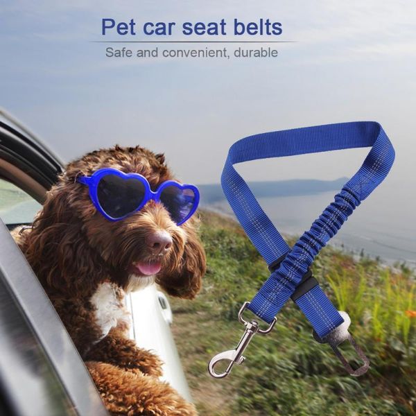 pet dog car seat belt shockproof harness clip rubber band lead puppy cat vehicle travel traction bungee elastic pet supplies
pet dog car seat belt shockproof harness clip rubber band lead puppy cat vehicle travel traction bungee elastic pet supplies