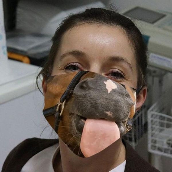 breathable sunscreen animal print dog cat anime mouth muffle reusable washable fabric masks mascarillas wmtmir yyysports 3 ngjxr
breathable sunscreen animal print dog cat anime mouth muffle reusable washable fabric masks mascarillas wmtmir yyysports 3 ngjxr