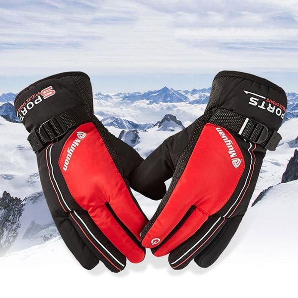 ski gloves men's winter warm gloves, thick and fleece, windproof warm, outdoor sports riding non-slip1
ski gloves men's winter warm gloves, thick and fleece, windproof warm, outdoor sports riding non-slip1