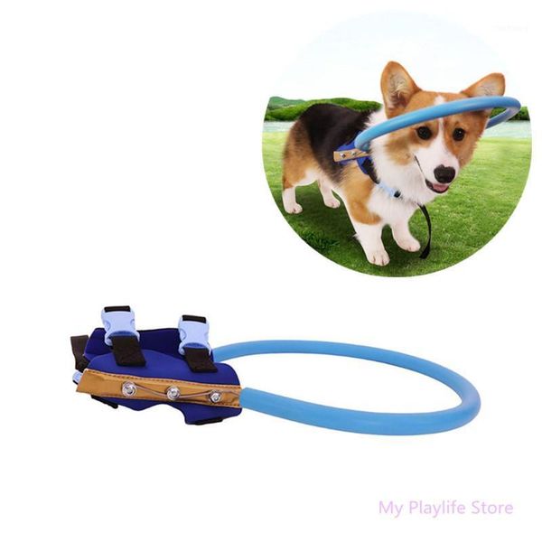 blind dogs safe halo harness blind pet anti-collision ring cataract animal protection circle guide cover pet supplies c421
blind dogs safe halo harness blind pet anti-collision ring cataract animal protection circle guide cover pet supplies c421