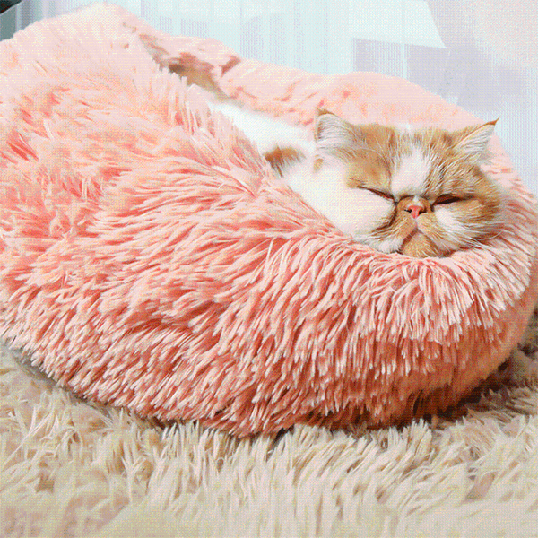 cat beds & furniture pet kennel in winter warm non-slip mattress small dog round plush
cat beds & furniture pet kennel in winter warm non-slip mattress small dog round plush