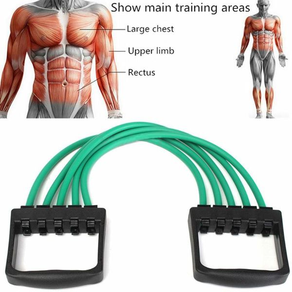 мышцы обучение съемные бодибилдинг упражнения тренировки грудь expander gym home office прицепные носилки 5 spring tpr portable
мышцы обучение съемные бодибилдинг упражнения тренировки грудь expander gym home office прицепные носилки 5 spring tpr portable