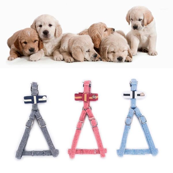 pet cat dog cat tie bow vest chest straps belt set adjustable comfort vest dog leash fashion1
pet cat dog cat tie bow vest chest straps belt set adjustable comfort vest dog leash fashion1
