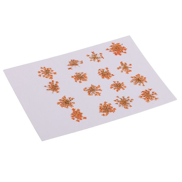 flowers 16pieces material pressed phone embossed p frame dried case diy hgtoa