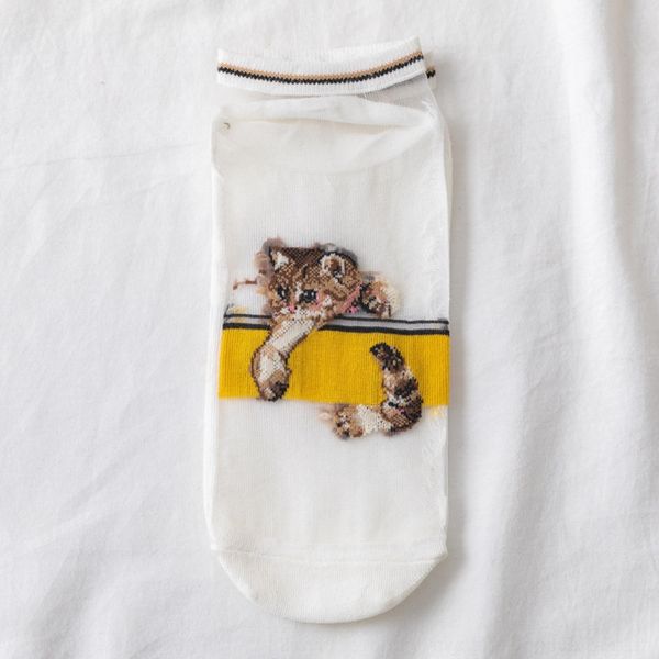 moacj short women's women's cat cass glass stockings summer thin cartoon silk stockings spring boat socks boat socks hqfrg, Black
moacj short women's women's cat cass glass stockings summer thin cartoon silk stockings spring boat socks boat socks hqfrg, Black