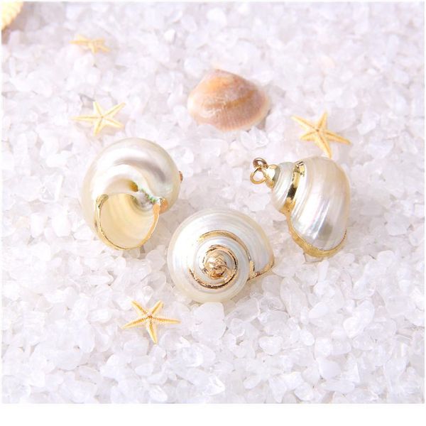 22*14-26*16 mm 5 pcs natural spiral shell charm pendants conch at random gold for jewelry making diy necklace bracelet jllixp, Black
22*14-26*16 mm 5 pcs natural spiral shell charm pendants conch at random gold for jewelry making diy necklace bracelet jllixp, Black