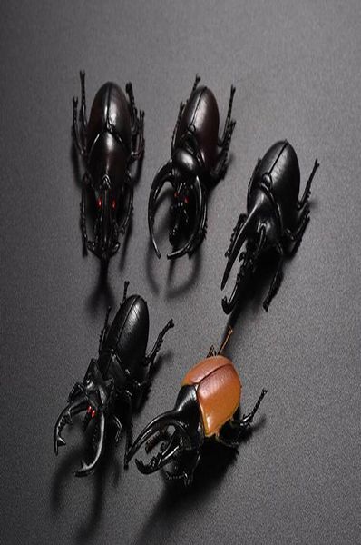 5pcs 8cm model simulation insect lifelike animals miniature action figure toy suitable for spoof toys gifts for children qylggt mywjqq
5pcs 8cm model simulation insect lifelike animals miniature action figure toy suitable for spoof toys gifts for children qylggt mywjqq