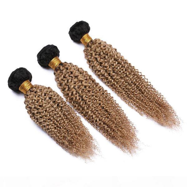 kinky curly #1b 27 honey blonde ombre 3bundles indian virgin human hair wefts dark root light brown ombre kinky curly human hair weaves, Black
kinky curly #1b 27 honey blonde ombre 3bundles indian virgin human hair wefts dark root light brown ombre kinky curly human hair weaves, Black