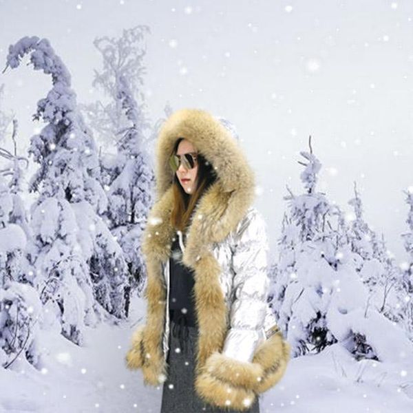 new winter women big collar silver puffer jacket/ popular natural raccoon fur down coat1, Black
new winter women big collar silver puffer jacket/ popular natural raccoon fur down coat1, Black