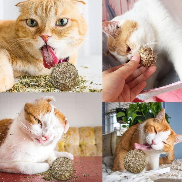 pet catnip игрушки для кошек здоровые кошки игрушки для котенка пищевая игрушка, лечение очистки зубов кошек поставляет домашнее животное до
pet catnip игрушки для кошек здоровые кошки игрушки для котенка пищевая игрушка, лечение очистки зубов кошек поставляет домашнее животное до