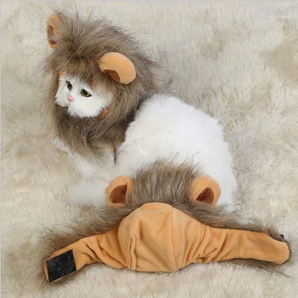 2019 funny cute pet cat costume lion mane wig cap hat for cat dog halloween christmas clothes fancy dress with ears pet clothes1
2019 funny cute pet cat costume lion mane wig cap hat for cat dog halloween christmas clothes fancy dress with ears pet clothes1