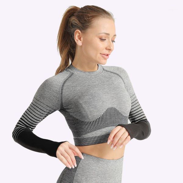 yoga outfits women seamless shirts knitting long sleeve gym crop fitness workout running with thumb hole, White;red
yoga outfits women seamless shirts knitting long sleeve gym crop fitness workout running with thumb hole, White;red
