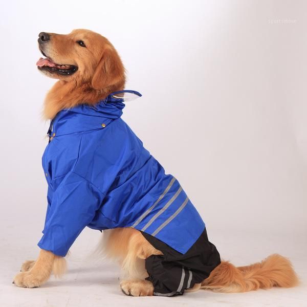 striped dog clothes raincoat clothing for dogs small super pet outfits fun autumn winter yorkies print blue boy ropa para perro1
striped dog clothes raincoat clothing for dogs small super pet outfits fun autumn winter yorkies print blue boy ropa para perro1