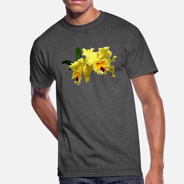 two yellow cattleya orchids designers graphic t shirt comic unique casual tracksuit hoodie sweatshirt
two yellow cattleya orchids designers graphic t shirt comic unique casual tracksuit hoodie sweatshirt