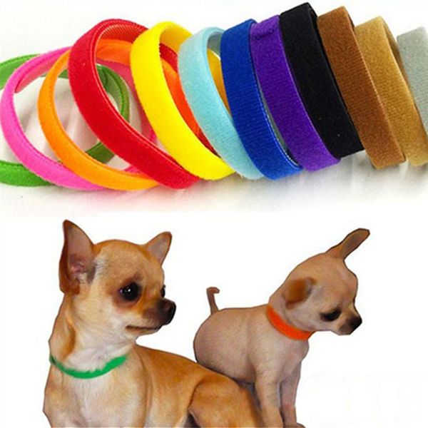 2021 12pcs 20/35cm whelping puppy kitten id collars bands adjustable identity recognition collar for pet dog cat product 72992
2021 12pcs 20/35cm whelping puppy kitten id collars bands adjustable identity recognition collar for pet dog cat product 72992