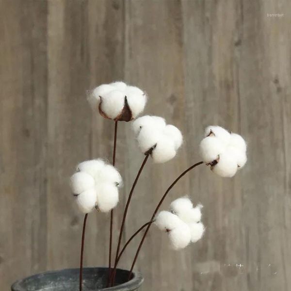 dried flowers 5pcs/lot ,handmade nature cotton branch for diy wedding favor marriage home floral decoration,gift box decor1
dried flowers 5pcs/lot ,handmade nature cotton branch for diy wedding favor marriage home floral decoration,gift box decor1