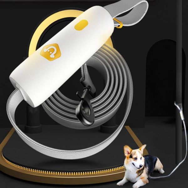 dog collars & leashes adjustable elastic braided loop explosion-proof leash
dog collars & leashes adjustable elastic braided loop explosion-proof leash