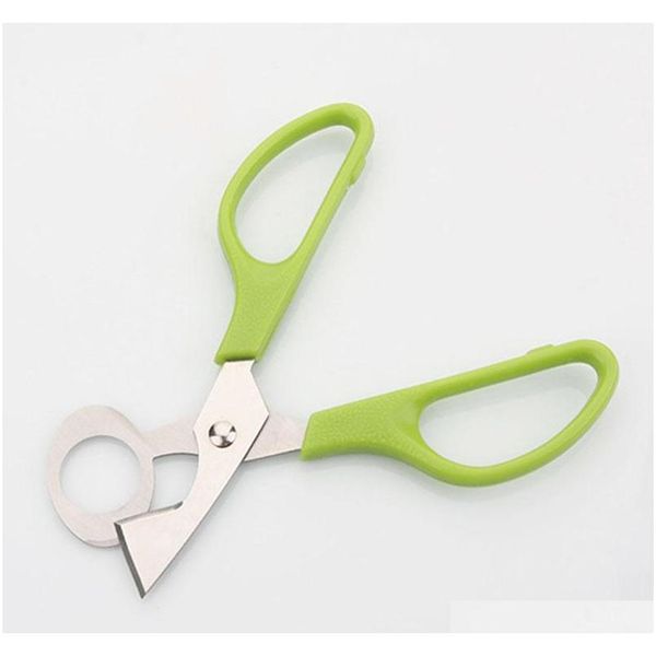 pigeon quail egg scissor bird cutter opener egg slicers kitchen housewife tool clipper accessories ga sqcvfp ppshop01
pigeon quail egg scissor bird cutter opener egg slicers kitchen housewife tool clipper accessories ga sqcvfp ppshop01