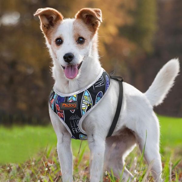 breathable french bulldog harness printed reflective dogs harness puppy small medium dogs cats vest for pug walking sqceui
breathable french bulldog harness printed reflective dogs harness puppy small medium dogs cats vest for pug walking sqceui