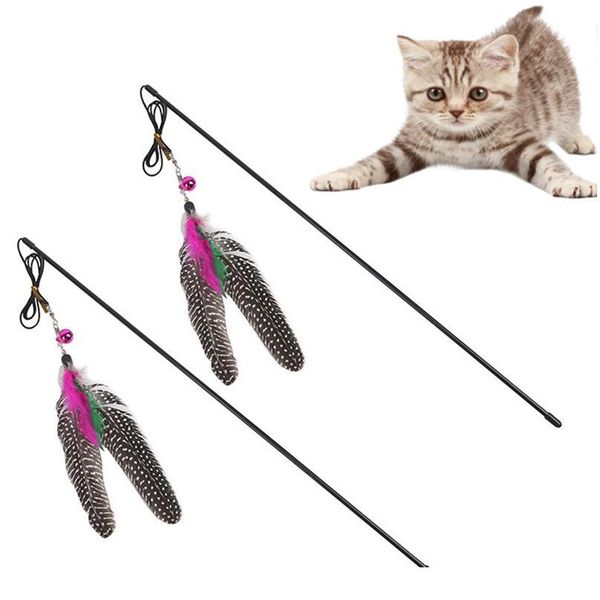 pet cat catcher teaser toy plush turkey feather cat toy newly design with bell plastic cute bird feath qylimo
pet cat catcher teaser toy plush turkey feather cat toy newly design with bell plastic cute bird feath qylimo