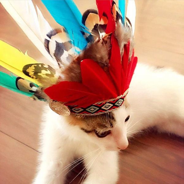 хэллоуин собак pet hat cap hat мода для собак кошки повседневная зима холст cap для собак cat hat чихуахуа рождество pet products wmtidg myw
хэллоуин собак pet hat cap hat мода для собак кошки повседневная зима холст cap для собак cat hat чихуахуа рождество pet products wmtidg myw