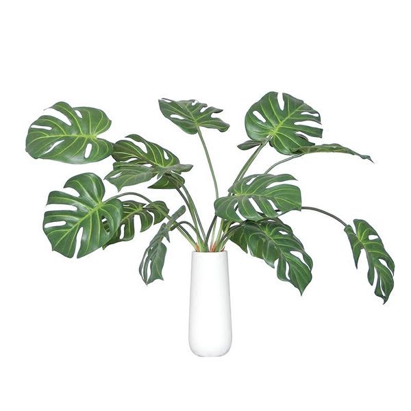 wholesale 100pcs monstera leaves philodendron grass artificial plant floral event tropical wedding christmas party indigo
wholesale 100pcs monstera leaves philodendron grass artificial plant floral event tropical wedding christmas party indigo