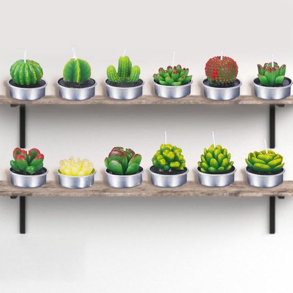 candles 12pcs/set cactus rose flower tealight home decoration candle artificial succulent plants valentine decor
candles 12pcs/set cactus rose flower tealight home decoration candle artificial succulent plants valentine decor