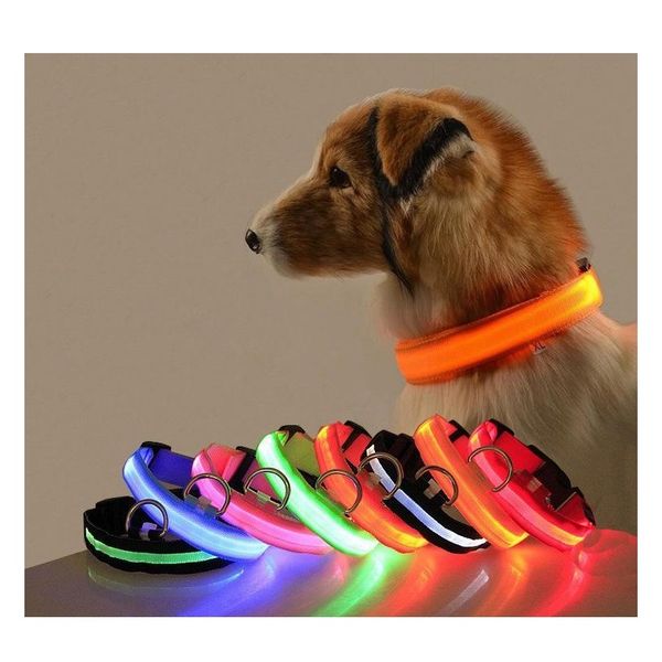 glowing pet collar rechargeable luminous pet belt s m l xl alway on fast flash slow flash accessory for dog cat
glowing pet collar rechargeable luminous pet belt s m l xl alway on fast flash slow flash accessory for dog cat