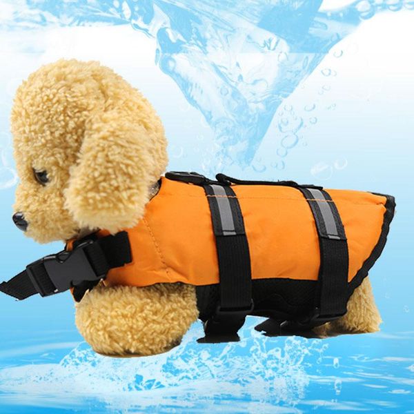 s регулируемые кошки для vest xl куртки куртки собаки жизнь собаки saver l плавание красный m xs jllcjq ffshop2001
s регулируемые кошки для vest xl куртки куртки собаки жизнь собаки saver l плавание красный m xs jllcjq ffshop2001