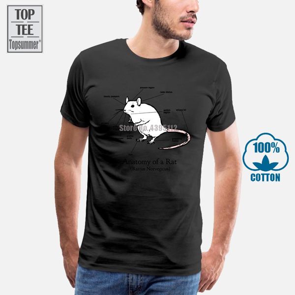 anatomy of a rat (rattus norvegicus) mens 2018 summer men short sleeves t shirt funny tee shirts sport hooded sweatshirt hoodie
anatomy of a rat (rattus norvegicus) mens 2018 summer men short sleeves t shirt funny tee shirts sport hooded sweatshirt hoodie