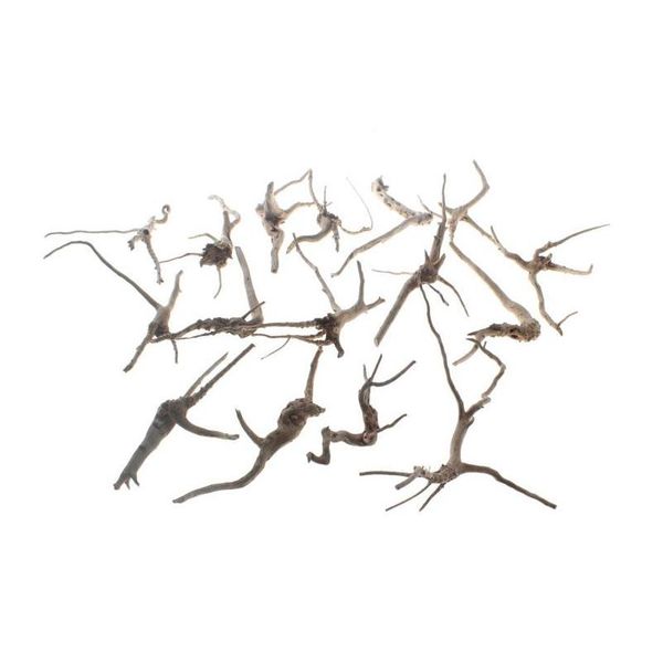 aquarium decor sinkable driftwood spider wood natural grapewood fish tank decoration tropical fish plant habitat decor xs 0-15cm qgcak
aquarium decor sinkable driftwood spider wood natural grapewood fish tank decoration tropical fish plant habitat decor xs 0-15cm qgcak