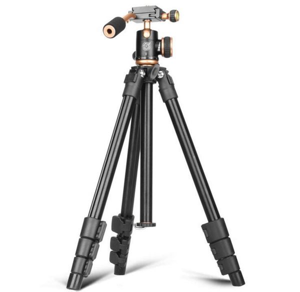 qzsd q160s видео камеры телефона стенд штатив фото фото для nikon canon sony dslr камеры универсальный алюминиевый сплав штатив
qzsd q160s видео камеры телефона стенд штатив фото фото для nikon canon sony dslr камеры универсальный алюминиевый сплав штатив