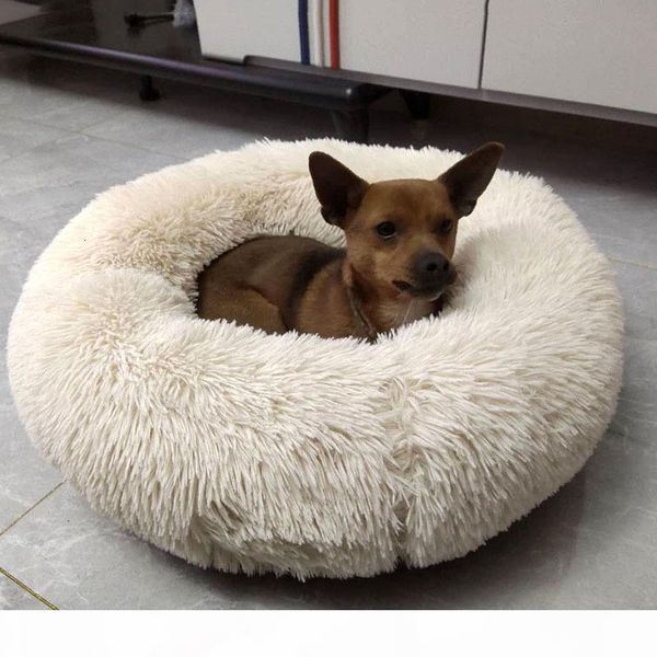 designer dog bed cute round donuts shape washable pet bed sofa mats super soft velvet dog beds for large dogs supplies
designer dog bed cute round donuts shape washable pet bed sofa mats super soft velvet dog beds for large dogs supplies