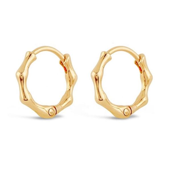 hoop & huggie 100% 925 sterling silver mini small hoops bamboo shaped multi piercing earring, Golden;silver
hoop & huggie 100% 925 sterling silver mini small hoops bamboo shaped multi piercing earring, Golden;silver