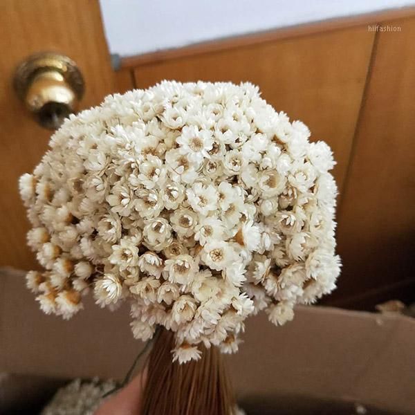 artificial daisy flower fake floral for home pgraphy decoration fleur de marguerite artificielle kunstmatige daisy flower bf1
artificial daisy flower fake floral for home pgraphy decoration fleur de marguerite artificielle kunstmatige daisy flower bf1