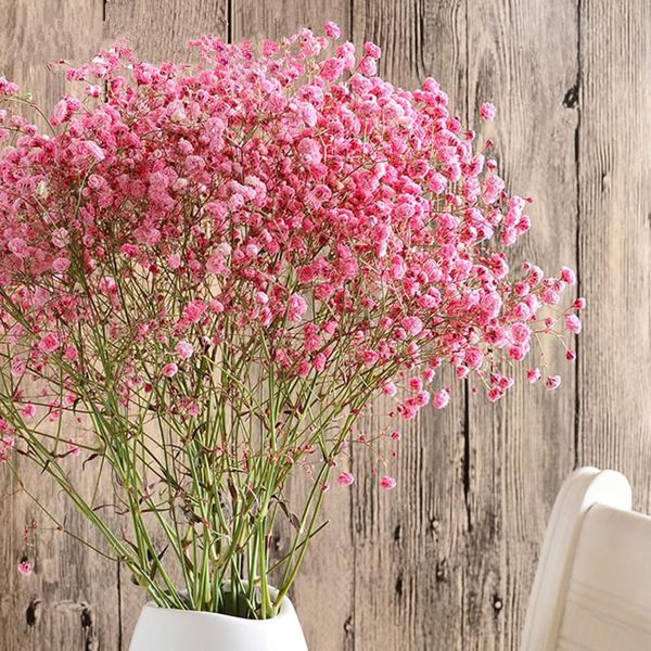denisfen gypsophila natural dried flowers bouquet colorful decotive flower baby breath for wedding home decoration diy craft
denisfen gypsophila natural dried flowers bouquet colorful decotive flower baby breath for wedding home decoration diy craft