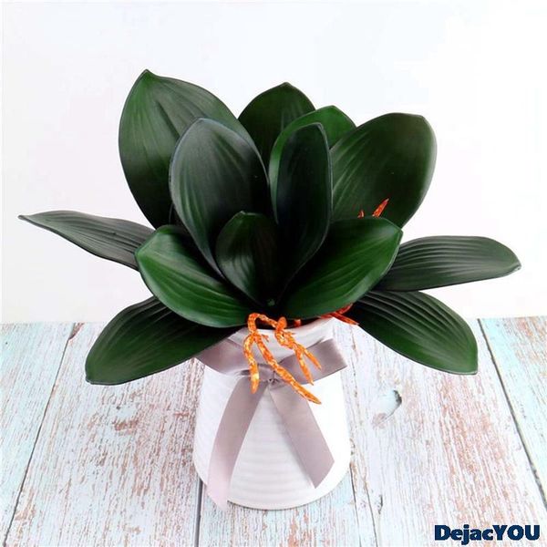 decorative flowers & wreaths feel pu simulation phalaenopsis leaves thickened for decoration 5 pieces of large medium and small
decorative flowers & wreaths feel pu simulation phalaenopsis leaves thickened for decoration 5 pieces of large medium and small